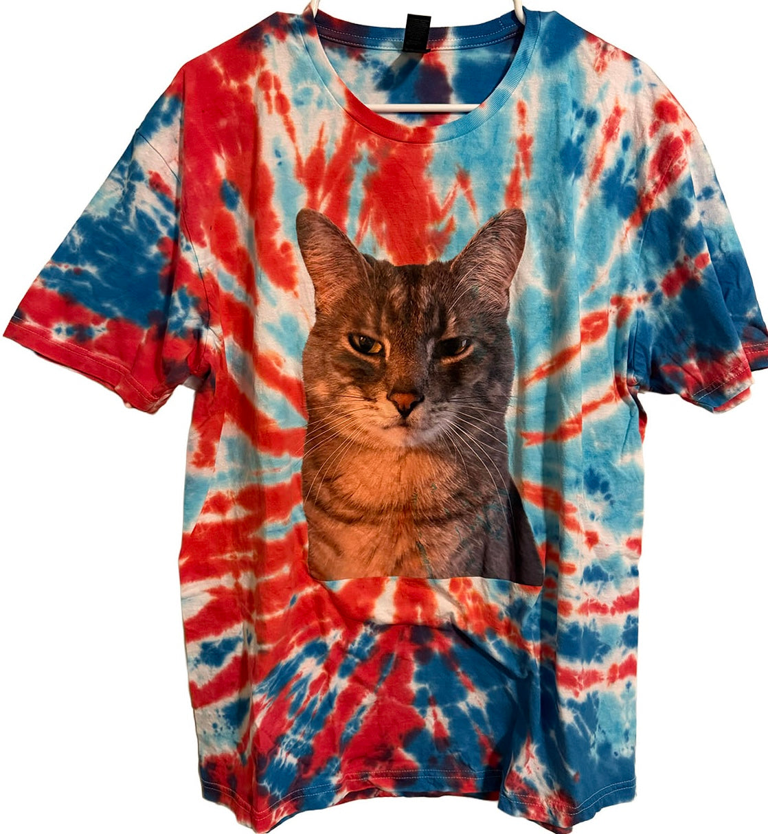 Judgmental Moody Cat 2 L